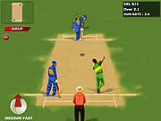 World Cricket