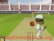 Flash Cricket 2