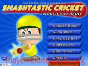 Smashtastic Cricket