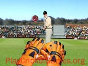 Test Catch Cricket